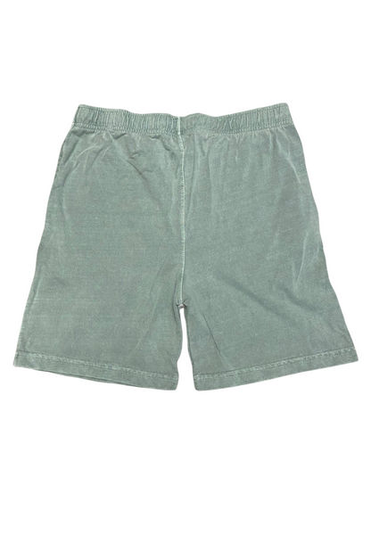 Seafoam Green Pigment Dye Shorts